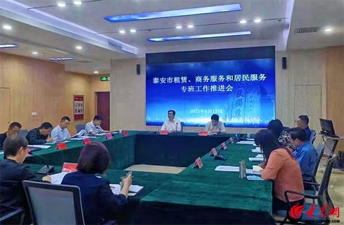 泰安市租賃、商務服務和居民服務專班工作推進會召開 聚焦軟件開發(fā)與應用